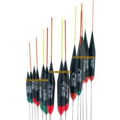 Dino BELGE - 16 Opties (3 Stuks)