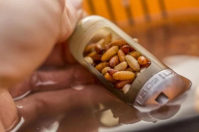 Guru X-CHANGE WINDOW FEEDER - Afbeelding 10