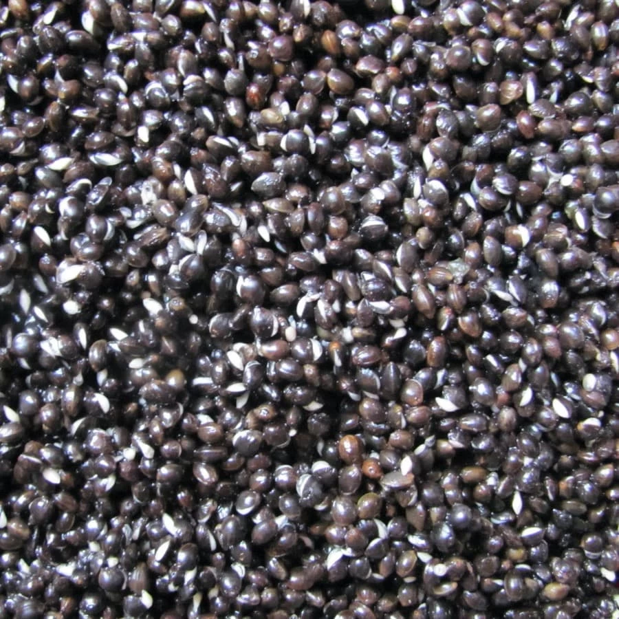 Monsterkemp 1kg - Afbeelding 2