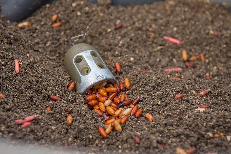 Matrix BELL FEEDERS - Afbeelding 6